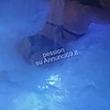 Foto della Coppia pession