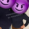 Foto della Coppia Inseparabili8573